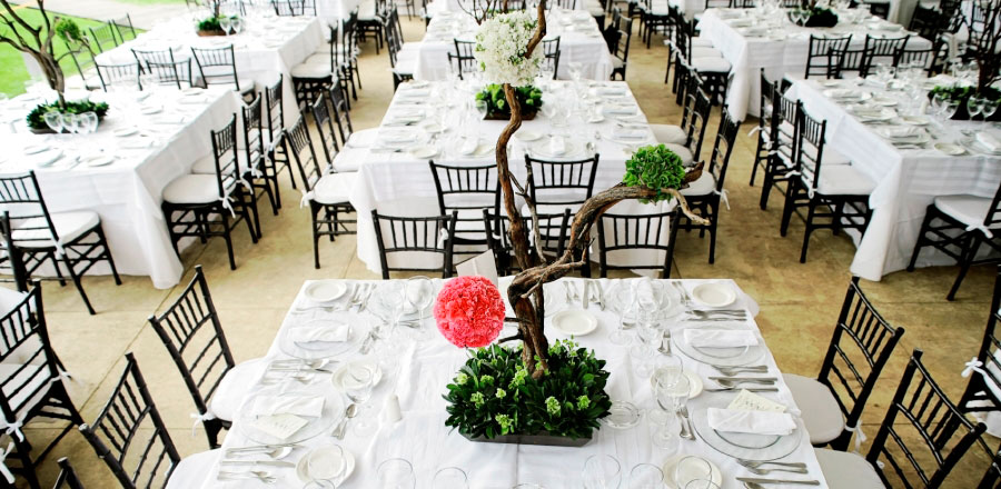 Party Equipment Rentals Party Equipment Rentals