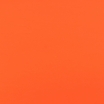 Neon Orange