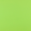 Neon Green