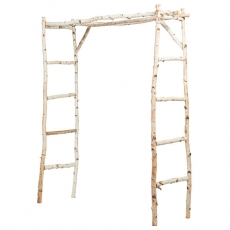 White Birch Arch for Rent