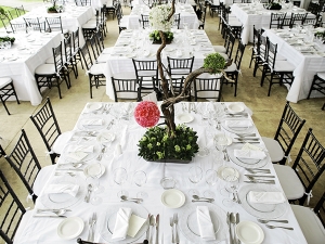 Back Chiavari chairs at event tables