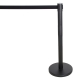 Sample Pair of Retractable Stanchion
